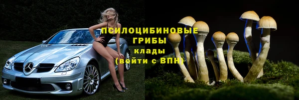 твердый Арсеньев