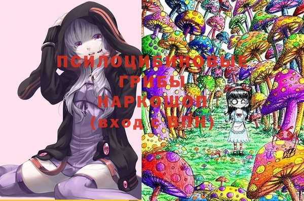 мяу мяу мука Армянск