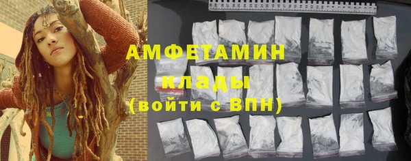твердый Арсеньев
