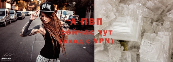 твердый Арсеньев