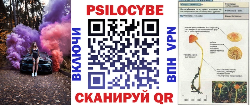 Псилоцибиновые грибы MAGIC MUSHROOMS  гидра зеркало  Новая Ляля 